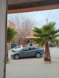 voitures-peugeot-407-2005-frenda-tiaret-algerie