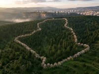 شقة-بيع-غرفتين-3-غرف-الجزائر-برج-الكيفان