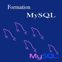 ecoles-formations-formation-mysql-el-madania-alger-algerie