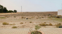 terrain-vente-djelfa-ain-oussara-algerie