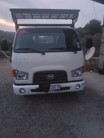 camion-h-65-hyundai-2019-tizi-ouzou-algerie