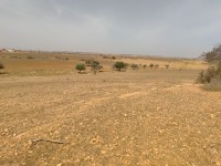 أرض-فلاحية-بيع-معسكر-عقاز-الجزائر