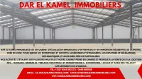 Location Alger Staoueli