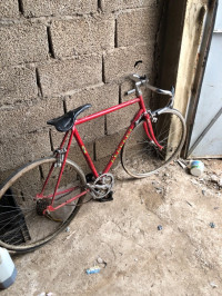 velos-velo-peugeot-francaise-oran-algerie