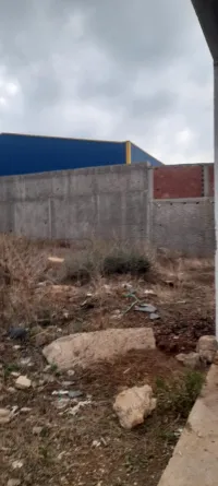 Vente Terrain Blida Blida