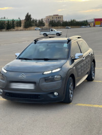 voitures-citroen-c4-cactus-2015-tissemsilt-algerie