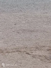 Vente Relizane Oued rhiou