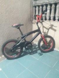 velos-velo-reghaia-alger-algerie