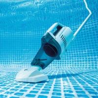 Aspirateur piscine électrique 