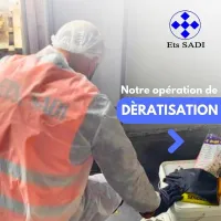 Dératisation : Rats et Souris