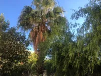 Vente Immeuble Alger Hydra