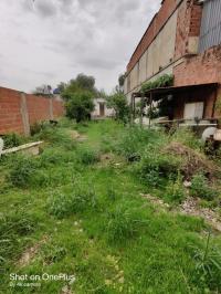 land-sell-blida-beni-tamou-algeria