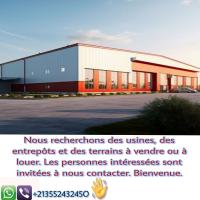 hangar-usine-cherche-location-oran-algerie