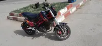 Vms Benelli 2020
