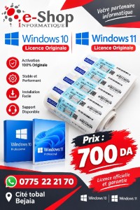 برامج-و-اشتراكات-windows-10-et-11-بجاية-الجزائر