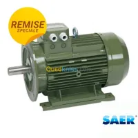 Moteur Electrique (Remise)