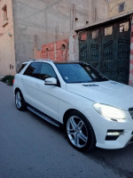 tout-terrain-suv-mercedes-ml-2015-250-cdi-pack-amg-ain-nouissi-mostaganem-algerie