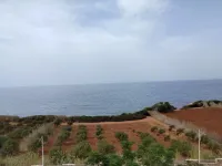 Vente Appartement F3 Tipaza Ain tagourait