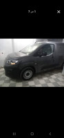 utilitaire-fiat-doblo-2024-la-tout-larbaa-blida-algerie