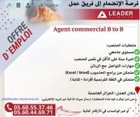 commercial-marketing-agent-b-to-hammedi-boumerdes-algerie