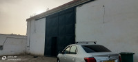 hangar-location-blida-bouinan-algerie