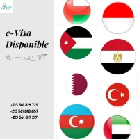 E-Visa Dubai / Qatar / Jordanie / Egypte / Oman / Turquie / Azerabaidjan / Indonésie