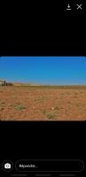 farmland-sell-constantine-ain-abid-algeria