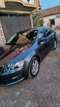 voitures-skoda-octavia-2019-business-bordj-emir-khaled-chikh-ain-defla-algerie