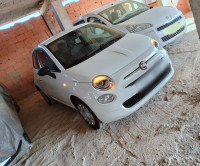 voitures-fiat-500-2024-cult-tlemcen-algerie