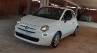 voitures-fiat-500-2024-cult-tlemcen-algerie