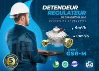 Régulateur de Gaz B10 Fmm Industry 