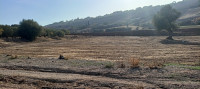 terrain-vente-boumerdes-el-kharrouba-algerie