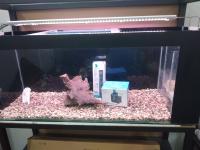 Aquarium 1m20 équipé