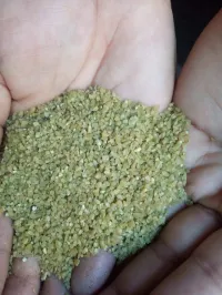 فريك القمح نوعية ممتازة طبيعي ومحلي 100٪ للبيع جملة فقط 