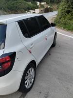 citadine-skoda-fabia-2014-fresh-ain-kechra-skikda-algerie