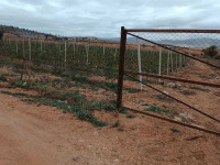 terrain-vente-tlemcen-oued-chouli-algerie