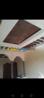 construction-travaux-peintre-professionnel-cheraga-alger-algerie