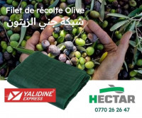 agricole-filet-a-olives-شبكة-جني-الزيتون-constantine-algerie