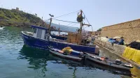 Doozan Sardinier 2019