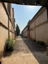 Location bien immobilier Blida Guerrouaou