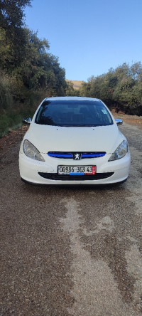 voitures-peugeot-307-2003-terrai-bainem-mila-algerie