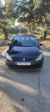 voitures-peugeot-307-2004-amira-arras-mila-algerie