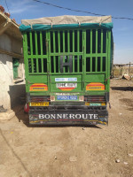 camion-hyundai-hd65-2005-remila-khenchela-algerie