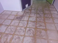 Nettoyage dal de sol faux parquet  