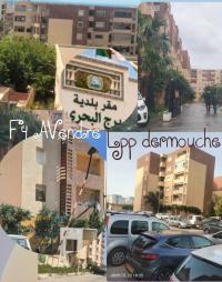 شقة-بيع-4-غرف-الجزائر-برج-البحري
