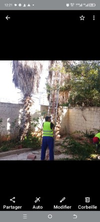 تنظيف-و-بستنة-abattage-darbres-et-desherbage-nettoyage-des-jardins-أولاد-فايت-الجزائر
