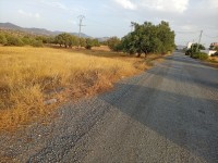 land-sell-bouira-ahl-el-ksar-algeria