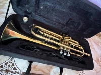 Trompette professionnel 