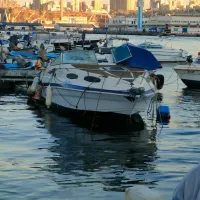Cobia Sun Marino usa 1994