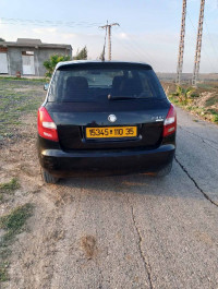 voitures-skoda-fabia-2010-bordj-menaiel-boumerdes-algerie